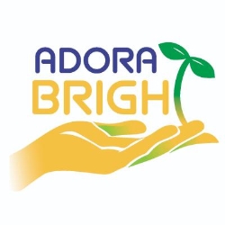 Adora Bright Pediatric Therapy Services