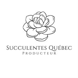 Succulentes Québec