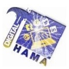 Digital Hama