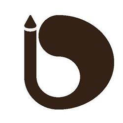 Desillus Solutions Inc.