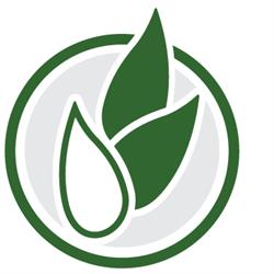 BonFoin BonGrain Inc.