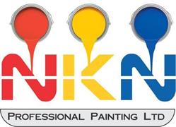NKN Professional Painting