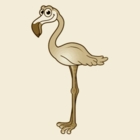Brown flamingo septic service