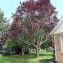 residential tree services
https://naturewithus.com/ residential tree services
https://naturewithus.com/