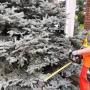 tree trimming
https://naturewithus.com/ tree trimming
https://naturewithus.com/