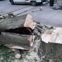 tree removal
https://naturewithus.com/ tree removal
https://naturewithus.com/