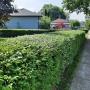 hedge trimming
https://naturewithus.com/ hedge trimming
https://naturewithus.com/
