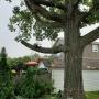 residential tree services
https://naturewithus.com/ residential tree services
https://naturewithus.com/