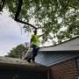 tree trimming
https://naturewithus.com/ tree trimming
https://naturewithus.com/