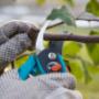 tree pruning
https://naturewithus.com/ tree pruning
https://naturewithus.com/
