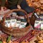 Fall picnic and bars in basket Fall picnic and bars in basket