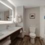 Guest room bath Guest room bath
