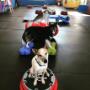 JUST THE DOG provides physical conditioning, mental stimulation, limb-awareness, confidence-building, strengthens the human-canine bon?d, AND can be used as a great cross-training program for dogs involved in various sports or specialty classes. JUST THE DOG provides physical conditioning, mental stimulation, limb-awareness, confidence-building, strengthens the human-canine bon?d, AND can be used as a great cross-training program for dogs involved in various sports or specialty classes.