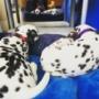 Puppy Training, Exploration & Socialization
*PupFIT-Foundations™
*Puppy Play
*Tiny Time Puppy Training, Exploration & Socialization
*PupFIT-Foundations™
*Puppy Play
*Tiny Time