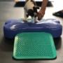 Puppy Training, Exploration & Socialization
*PupFIT-Foundations™
*Puppy Play
*Tiny Time Puppy Training, Exploration & Socialization
*PupFIT-Foundations™
*Puppy Play
*Tiny Time