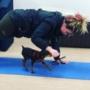 Bow Wow Bootcamp®
An all-over, pawfect +R conditioning program for you and your pooch.
This human-canine fitness class combines strength, agility and cardio with basic manners, impulse control and a bonding opportunity for you and your dog! Bow Wow Bootcamp®
An all-over, pawfect +R conditioning program for you and your pooch.
This human-canine fitness class combines strength, agility and cardio with basic manners, impulse control and a bonding opportunity for you and your dog!