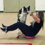 Bow Wow Bootcamp®
An all-over, pawfect +R conditioning program for you and your pooch.
This human-canine fitness class combines strength, agility and cardio with basic manners, impulse control and a bonding opportunity for you and your dog! Bow Wow Bootcamp®
An all-over, pawfect +R conditioning program for you and your pooch.
This human-canine fitness class combines strength, agility and cardio with basic manners, impulse control and a bonding opportunity for you and your dog!