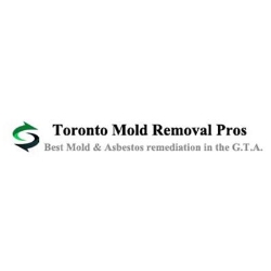 Toronto Mold Asbestos Removal Pros