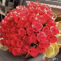 50-Red-Roses