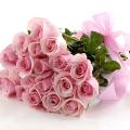 A-Dozen-Pink-Roses