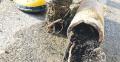Sewer backup cleanup