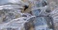 Water-Leak-Inspection