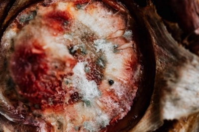 What Fuels Mold Growth and How to Stop It in Its Tracks