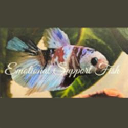 Emotional Support Fish