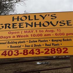 Holly's Green House Ltd