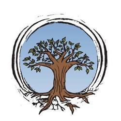The Tended Root Acupucnture and Allergy Clinic Inc.