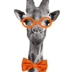 Giraffe Realty Real Estate Brokerage