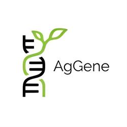 AgGene Inc.