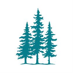 IRP inspire.reconciliation.potential