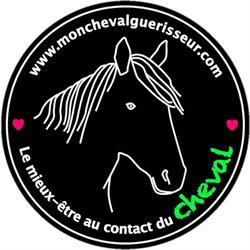 MON CHEVAL GUÉRISSEUR
