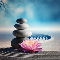 Clinique TuiNa/Excellent Massage Therapy