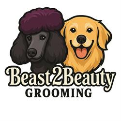Dave's Beast To Beauty Grooming