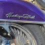 Photo Photo