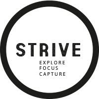 Strive Experience