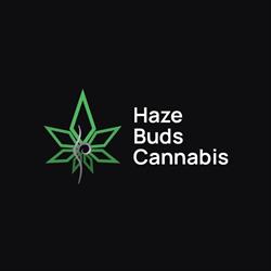 Haze Buds Cannabis