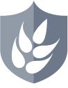Forbes Wealth Management