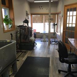 Ginny's Groom Room