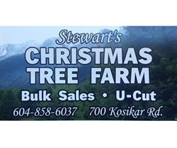 Stewart's Christmas Tree Farm