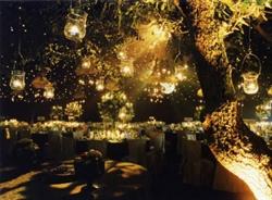 Knot Just Weddings Event Planning