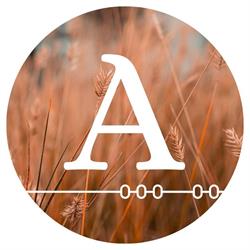 J.M.H. Adams Chartered Professional Accountants