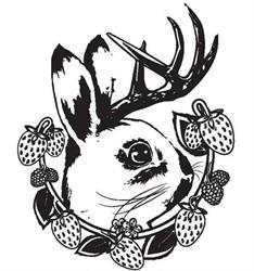 Jackalope Farms