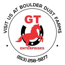 G.T. Enterprises