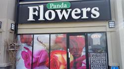 Crowfoot Panda Flowers Calgary Flower Delivery
