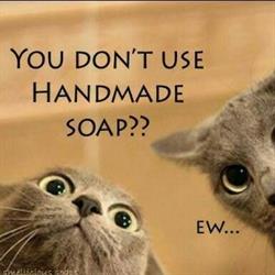Our Natural Creations Goat Milk Soap