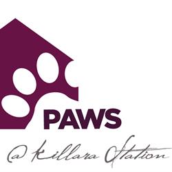 Paws at Killara Station.