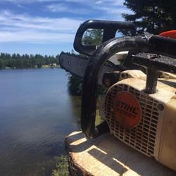 J Birch Tree Service